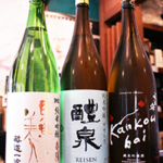 東洋美人春陽